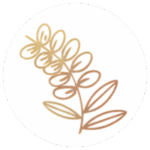 beli bagrem favicon